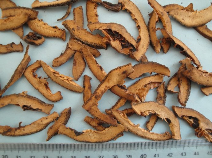 蜜麸炒枳壳的作用 蜜麸炒枳壳的作用