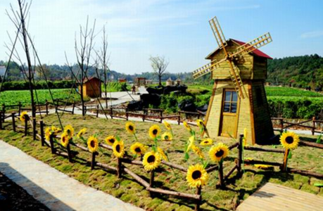 毒土地有哪些危害